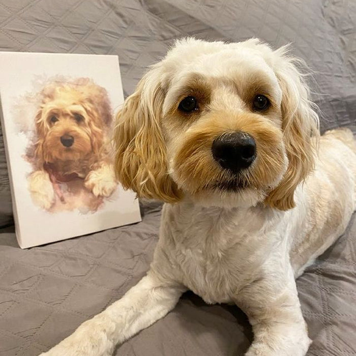 Customer Pet Portrait Photo