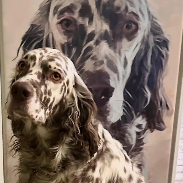 Customer Pet Portrait Photo