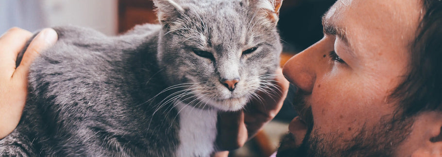 Why a Portrait is the Ultimate Gift for Dog Moms and Cat Dads