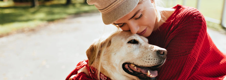 The Perfect Pet Memorial Gift: How Portraits Help Keep Memories Alive