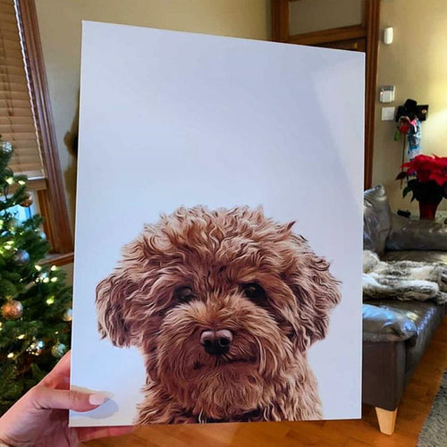 Custom Pet Portrait - Customer Example