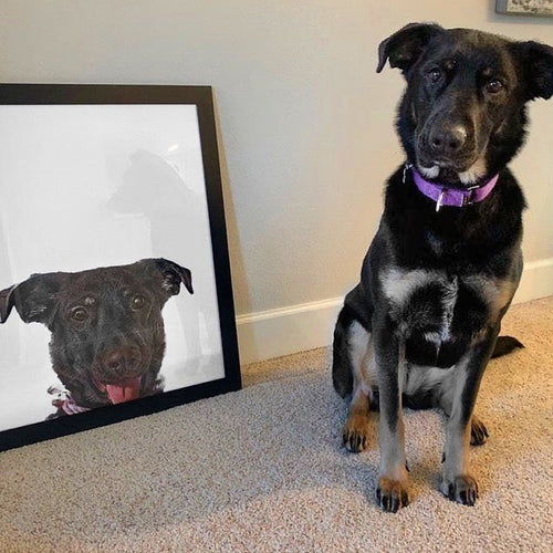 Custom Pet Portrait - Customer Example