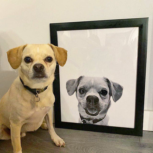 Custom Pet Portrait - Customer Example