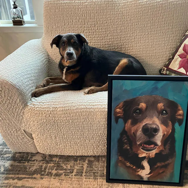 Customer Pet Portrait Photo